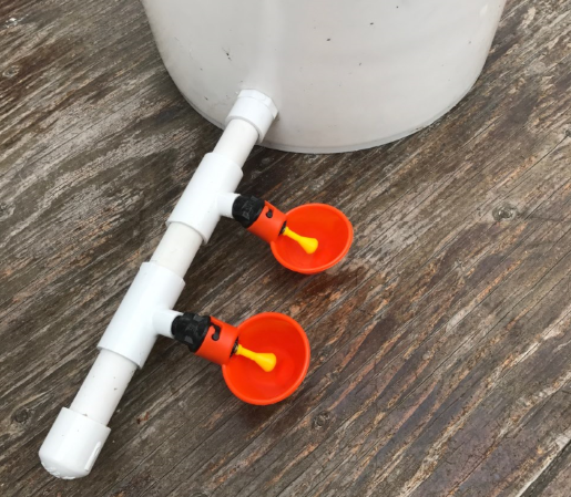 Automatic Chicken Hanging Waterer